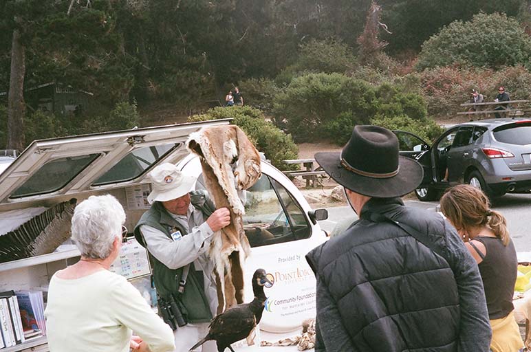 pelt display<br />point lobos, ca<br />2021