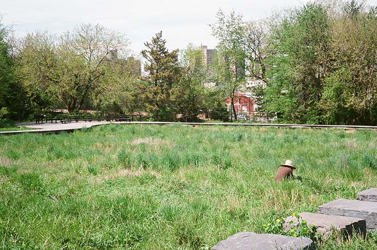 brooklyn naval cemetery<br />2022